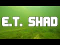 Силиконовые приманки Bait Breath E.T.Shad | Soft baits