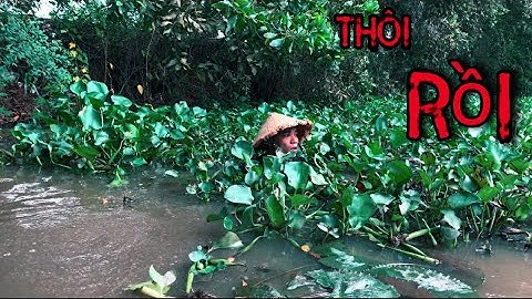 Thăm 12 Cửa Ngục Trúng Bầy Cá Rô Đã Đời