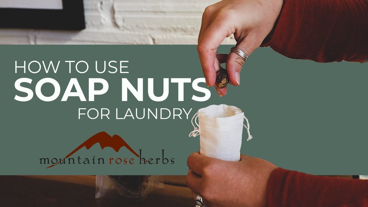 Soap Nuts: A Natural DIY Option for Your Laundry