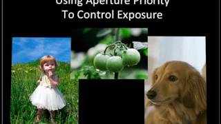 Using Aperture Priority To Improve Photography