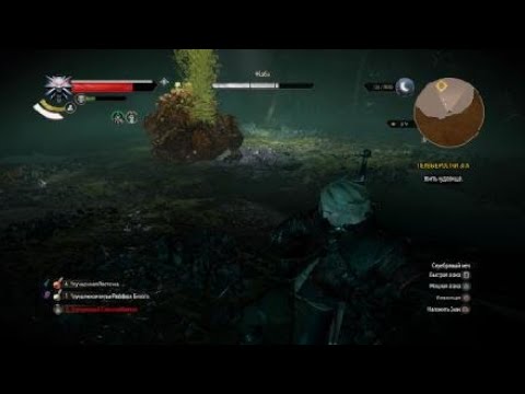 «Ведьмак 3: Дикая Охота» — как быстро убить жабу