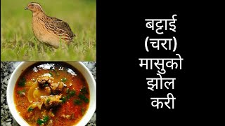 Quail bird soup curry/बट्टाई चरा झोल तरकारी/ बटाइको मासु पकाउने तरिका/Nepalese Home Curry