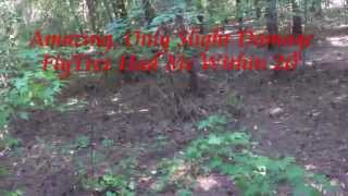 FlyTrex Live 3G & The Search For My Lost Phantom 2