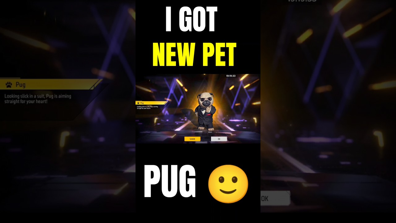 OB40 ADVANCE SERVER NEW PET REVIEW 😱 PUG !! 