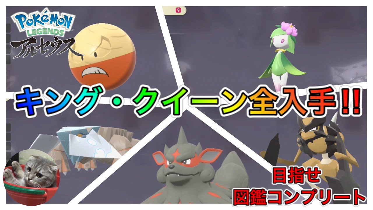 ポケモン キング