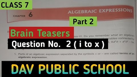 Dav Class 7 Maths Chapter 6 Brain Teasers Algebraic Expressions || @madhubanclasses #davmaths