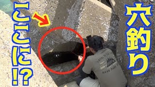 離島でサバイバル大会？ハイサイいろは釣りよかコラボ#5