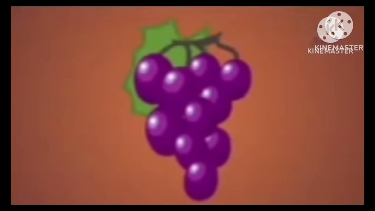 24 de fevereiro de 2026