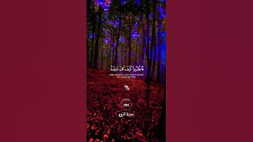 'ظهر الفساد في البر والبحر بما كسبت أيدي الناس'سورة الروم #ياسر_الدوسري #ارح_قلبك #القرآن_الكريم