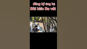 Bến nào câu cá vằn vện củng có #caucavanven #fishing #buihienbavat