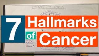Hallmarks of Cancer | Pathophysiology