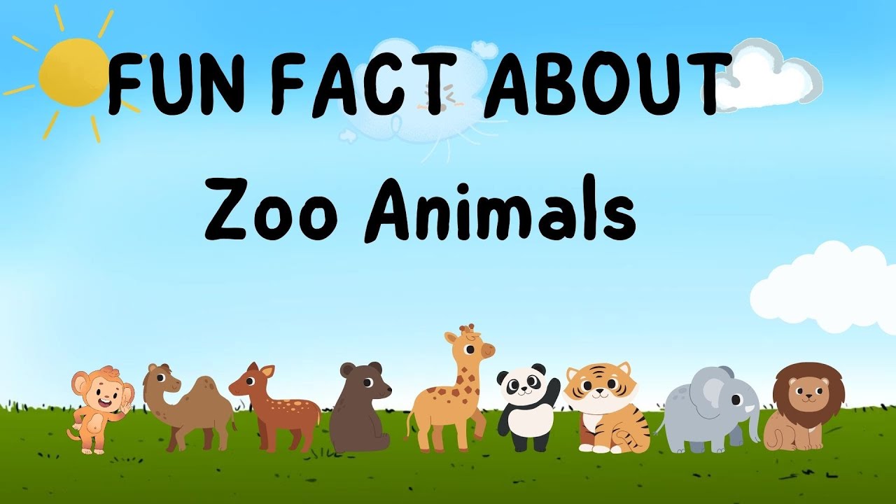 FUN FACT ABOUT Zoo Animals