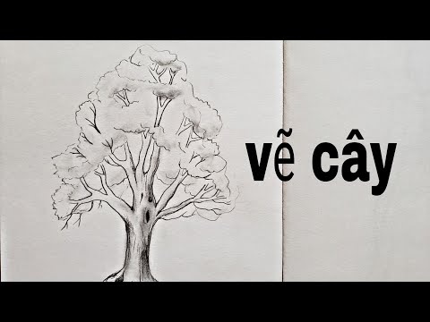 Cách vẽ cái cây bằng bút chì nghệ thuật đơn giản