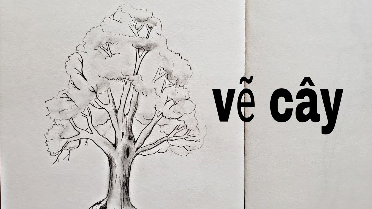 Cách Vẽ Cây Bằng Bút Chì Đơn Giản #Art#Vetranhbutchi#Pencilpaint - Youtube