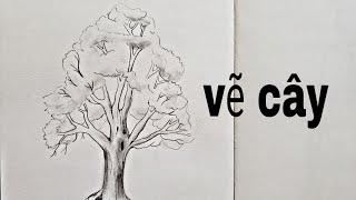 Với những đường nét tinh tế và trải nghiệm màu sắc viên mãn, những tác phẩm vẽ cây bằng bút chì sẽ đưa bạn đến với những cảm xúc đẹp nhất về thiên nhiên và đời sống. Bạn sẽ cảm thấy thế giới trưởng thành hơn sau khi chiêm ngưỡng những bức tranh tuyệt vời này đấy!