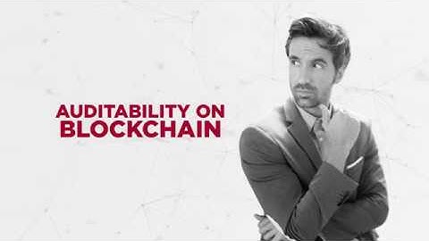 Auditability on Blockchain with Traxalt