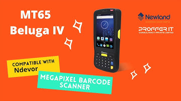 MT65 Beluga IV (Newland)