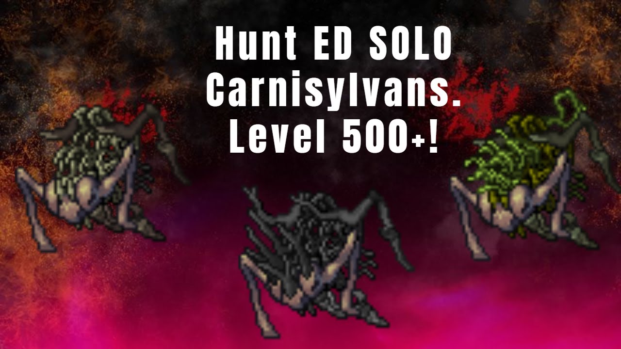 Tibia - Hunt ED SOLO Carnisylvans (Yselda) .Muito profit: 950k/h no ...