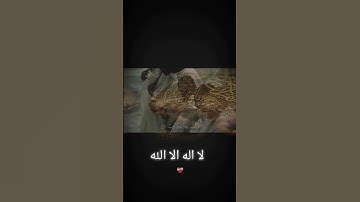 سورة المؤمنون بصوت الشيخ ماهر المعيقلي #دويتو #المصحف #اكسبلور #الرحمن #duet #القزابري #لايك