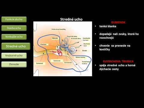 Video: Náhlá Ztráta Sluchu U Pacienta S Melanomem Na Pembrolizumabu: Etiologie, Která Nesmí Být Vynechána V Diferenciální Diagnostice