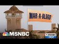 Trump Losing Blog Wars After Losing Election | MSNBC’s The Beat