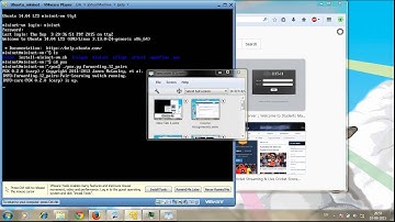 Topology using mininet