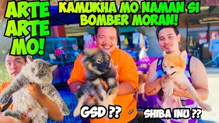 SA UNANG TINGIN AKALA KO SHIBA INU AT GSD!  GROTTO PET MARKET UPDATE! by Tita A's Vlog 3,994 views 1 month ago 30 minutes