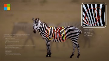 AI for Good: Microsoft’s Vision for a Brighter Future