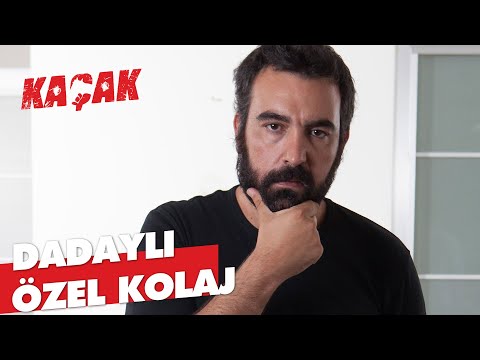 DADAYLI | ÖZEL KOLAJ