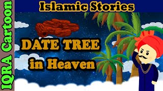 A Date Tree in Heaven  | Islamic Stories | Sahaba Stories | Hadith Stories | Islamic Cartoon
