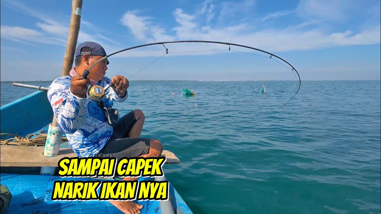 Sampai Capek Saya Narik Narik Ikan KAKAP PUTIH nya mas bro
