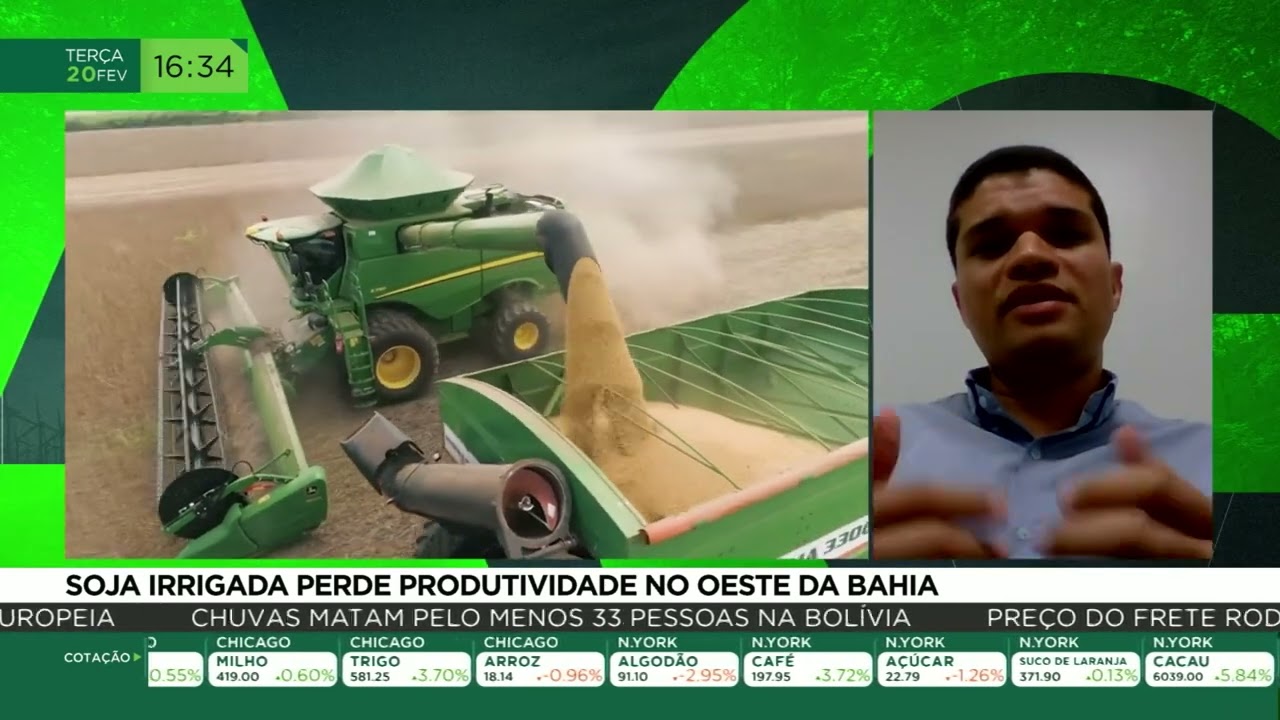 Soja irrigada perde produtividade no oeste da Bahia