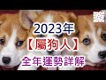 2023年屬狗人的全年運勢詳解