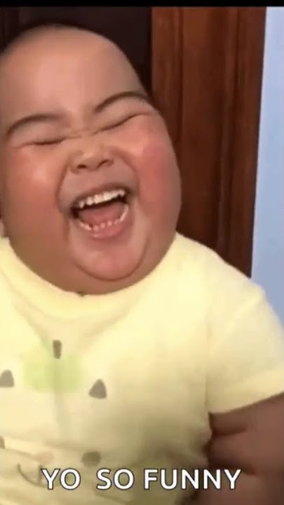 Hilarious Funny GIF Find This GIF and More At https://tenor.com