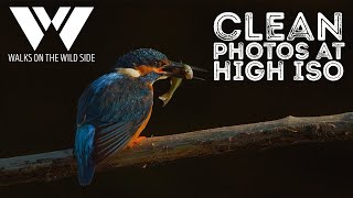 How I get clean images from high ISO photos screenshot 2