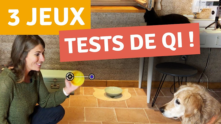 LE QI DE MON CHIEN AVEC CES 3 JEUX D'INTELLIGENCE