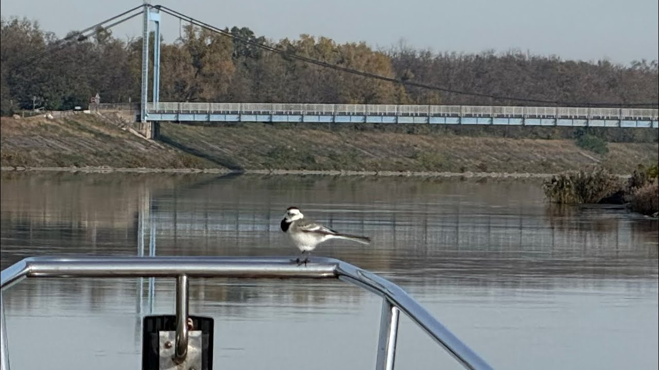 12 France/Rhône: Scenery from Caderousse to Bollène’s waiting pontoon
