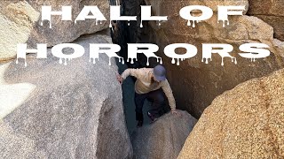 SLOT CANYON MAZE! 🤯 We Hiked the HALL OF HORRORS in Joshua Tree National Park