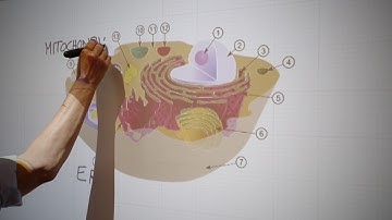 CSUN Technology Enhanced Active Learning (TEAL) Classroom