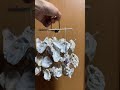 牡蠣の殻のチャフチャス