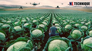 The Most Modern Agriculture Machines That Are At Another Level , How To Harvest Cabbage In Farm