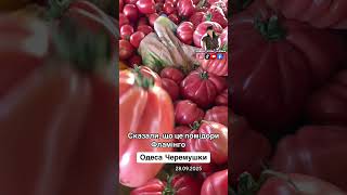 Одеса Черемушки помідори 🍅