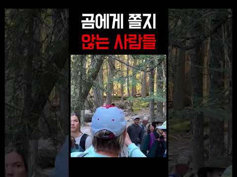 곰이 나타나도 여유로운 사람들