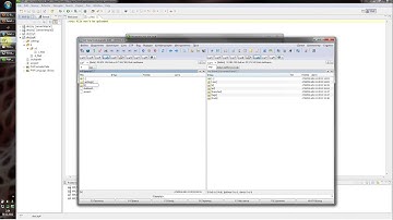 Zend Studio 9: Remote Server and dot folders