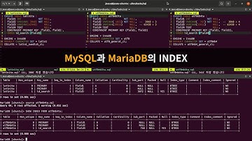 MySQL과 MariaDB의 INDEX