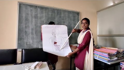 Digestion process, Simulation Teaching, #mybotany