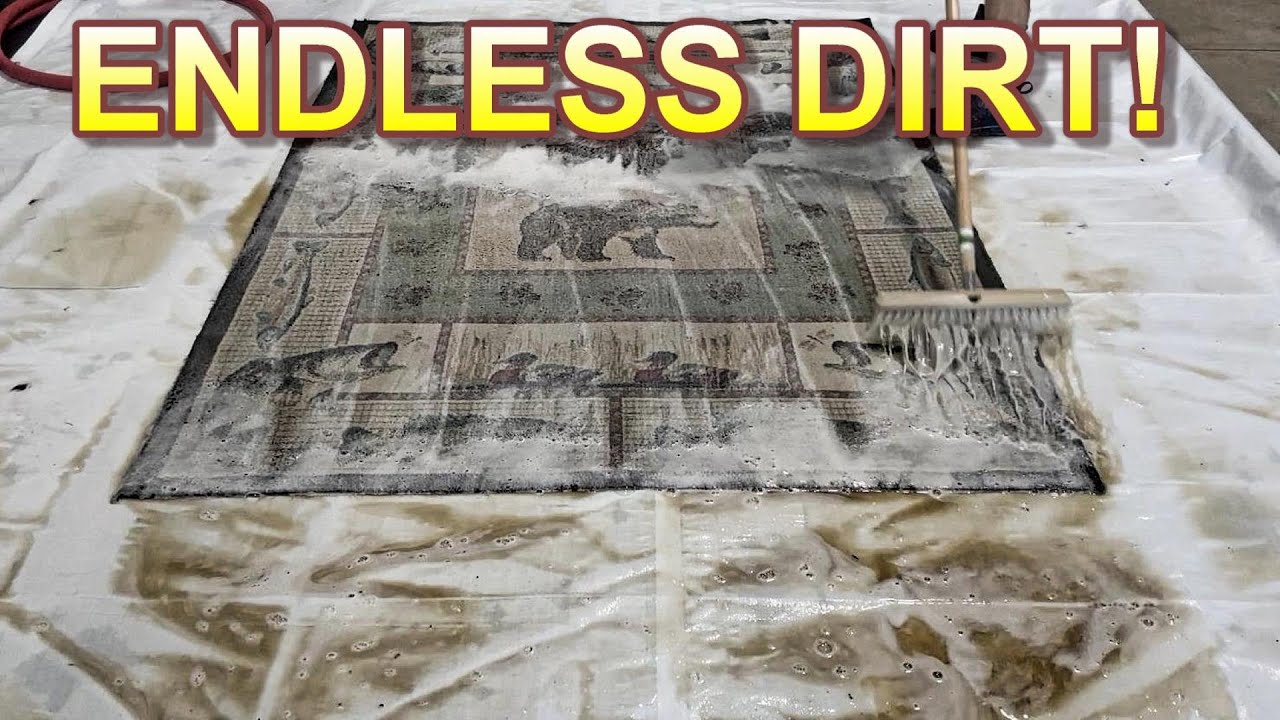 Armageddon Rug THE DIRT JUST KEPT FLOWING FROM THIS RUG! Dirt and hair Armageddon! Rug ...