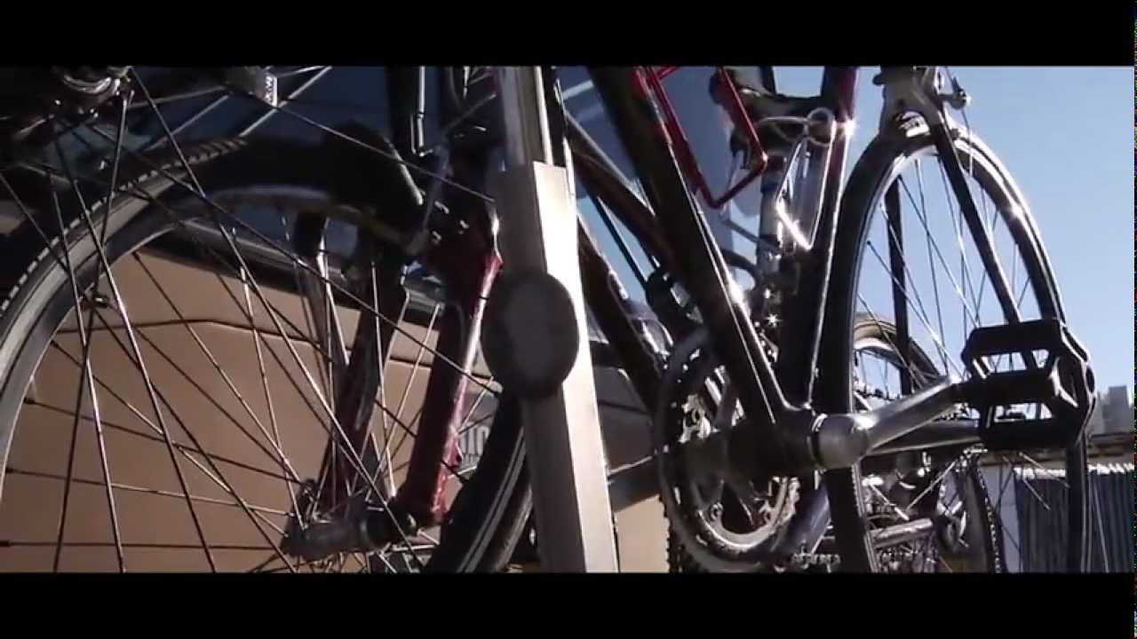 RTC BIKE SHOP (Las Vegas Cyclery) YouTube