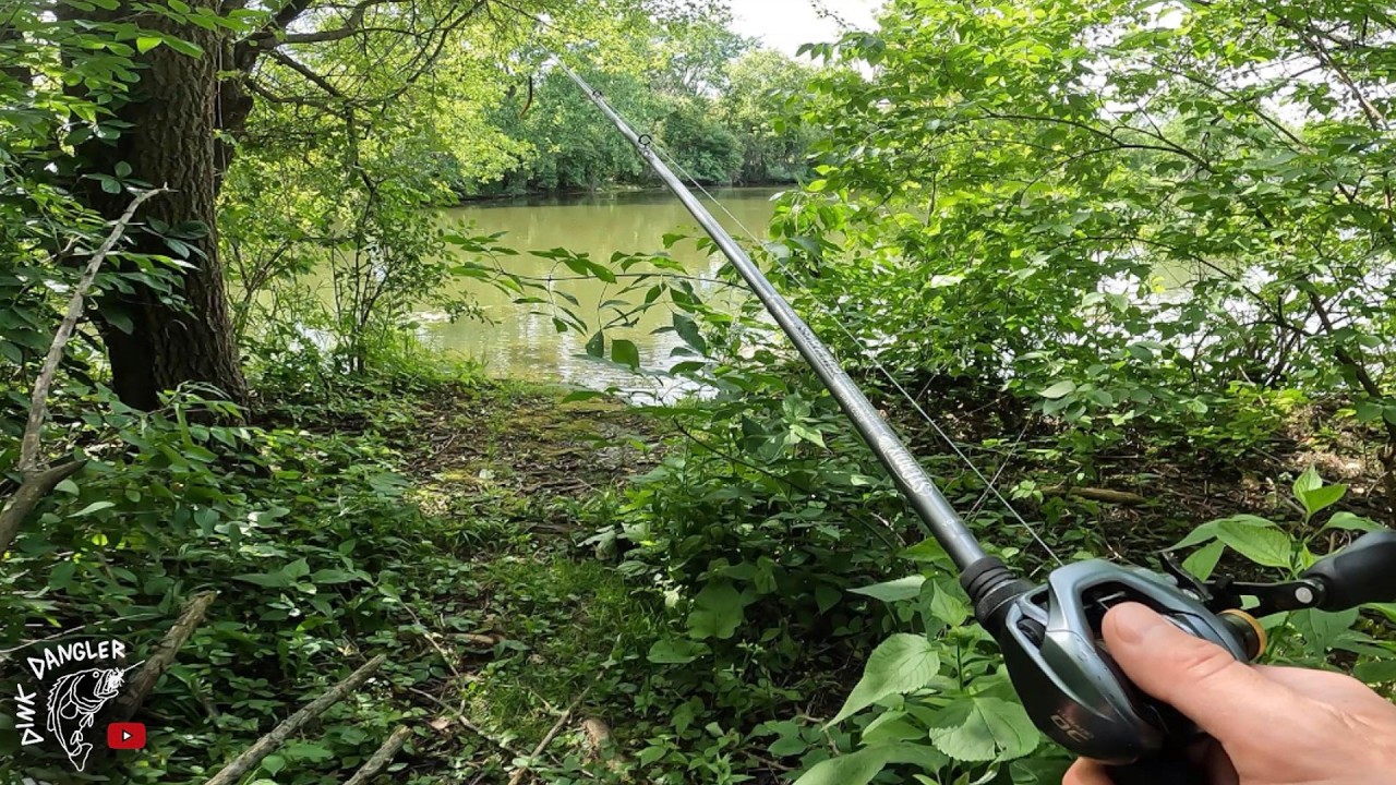Walking the Bank – Pond Fishing With Senkos for Largemouth!