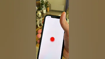 ШОК 🤯 ПЕРЕВОДЧИК ДЛЯ СОБАКИ